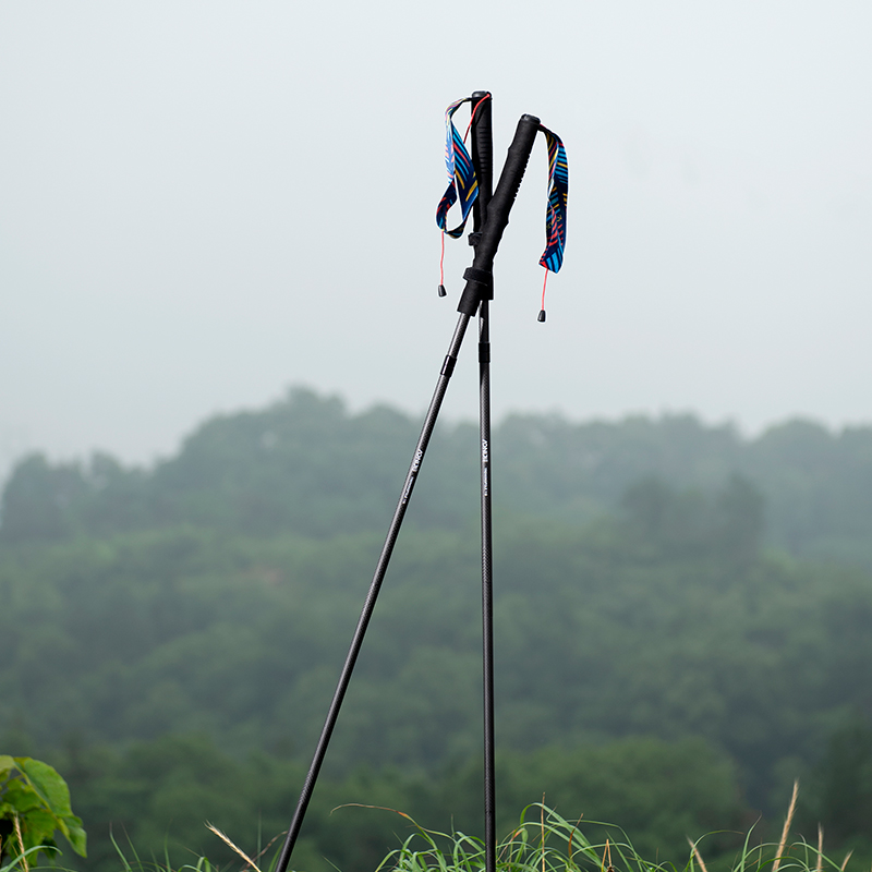2pcs AONIJIE New Folding Outdo - Trekking Pole Carbon 评论和价格